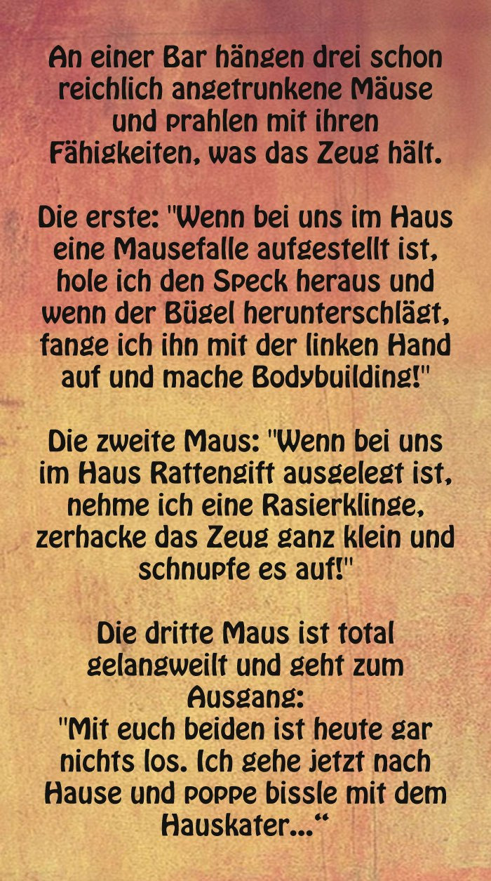 Wenn Mäuse richtig auf den Putz hauen :)